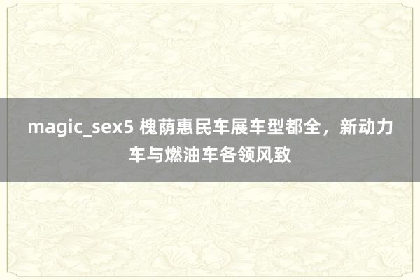 magic_sex5 槐荫惠民车展车型都全，新动力车与燃油车各领风致