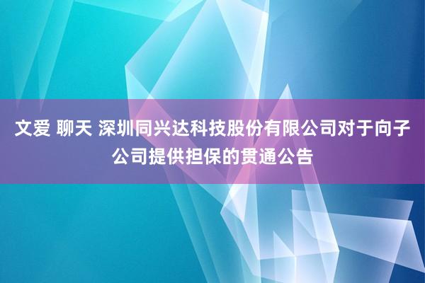 文爱 聊天 深圳同兴达科技股份有限公司对于向子公司提供担保的贯通公告