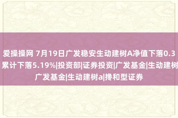 爱操操网 7月19日广发稳安生动建树A净值下落0.30%，近3个月累计下落5.19%|投资部|证券投资|广发基金|生动建树a|搀和型证券